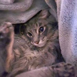 Meet your Posher, Courtney